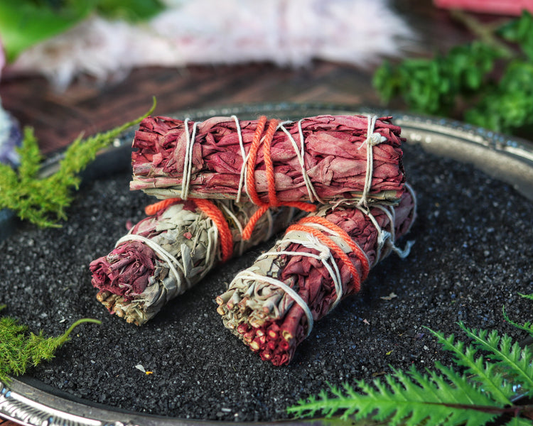 Sage Smudge Stick Bundle for Ceremony, Energy Cleansing, House Blessing & Empath Protection - Dragons Blood, Cinnamon, White Sage, Shasta Sage