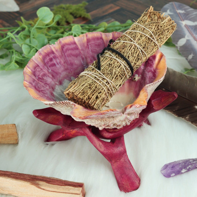 Abalone and Lion's Paw Sacred Smudging Shell with Wood Tripod Stand for Energy Cleansing Ceremonies
