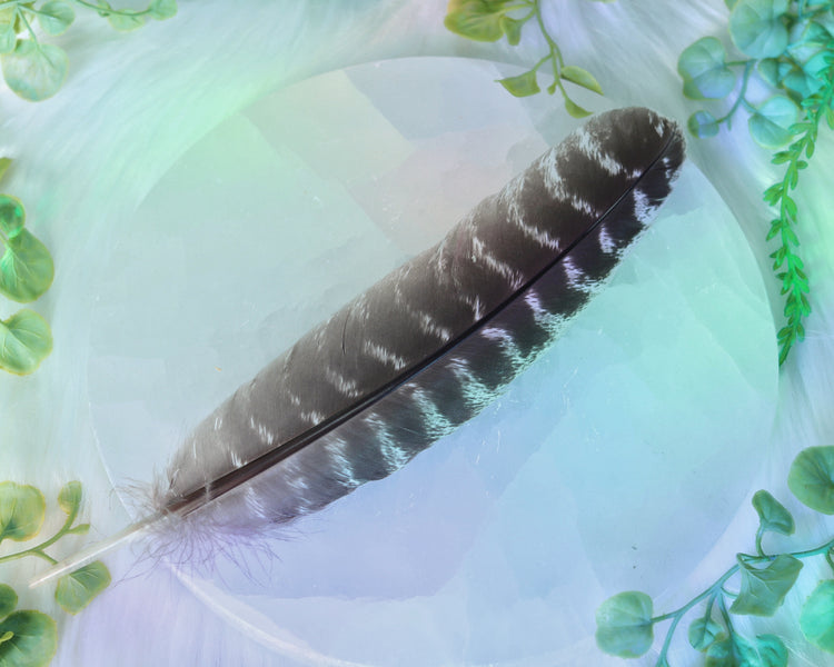 Smudging Feather for Sacred Smoke Energy Cleansing Rituals