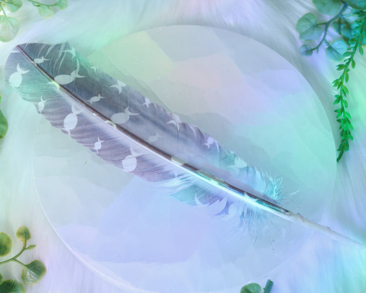 Smudging Feather for Sacred Smoke Energy Cleansing Rituals