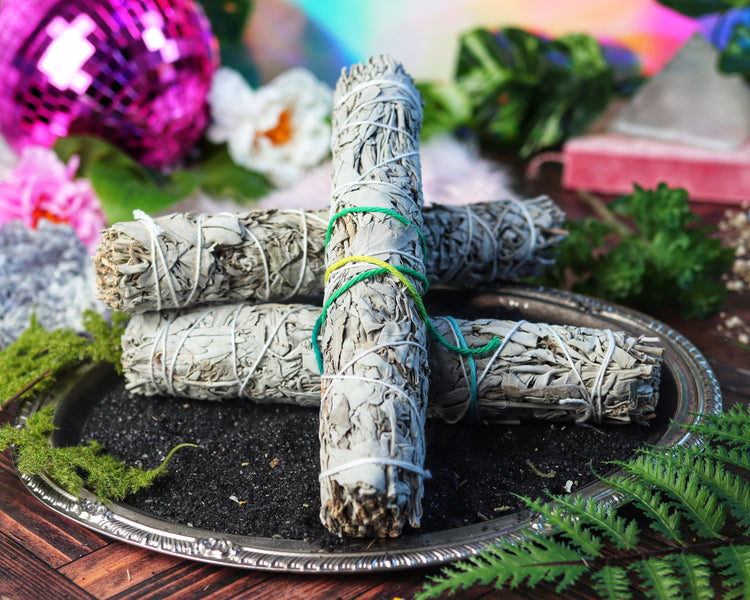 Sage Smudge Stick Bundle for Ceremony, Energy Cleansing, House Blessing & Empath Protection - Dragons Blood, Cinnamon, White Sage, Shasta Sage