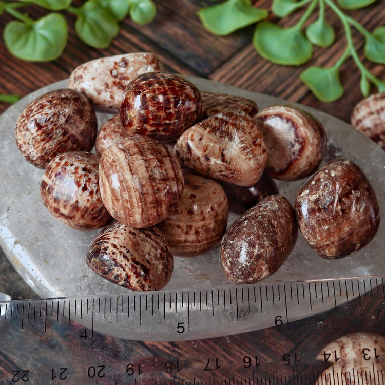 Aragonite Polished Tumbled Pocket Crystal