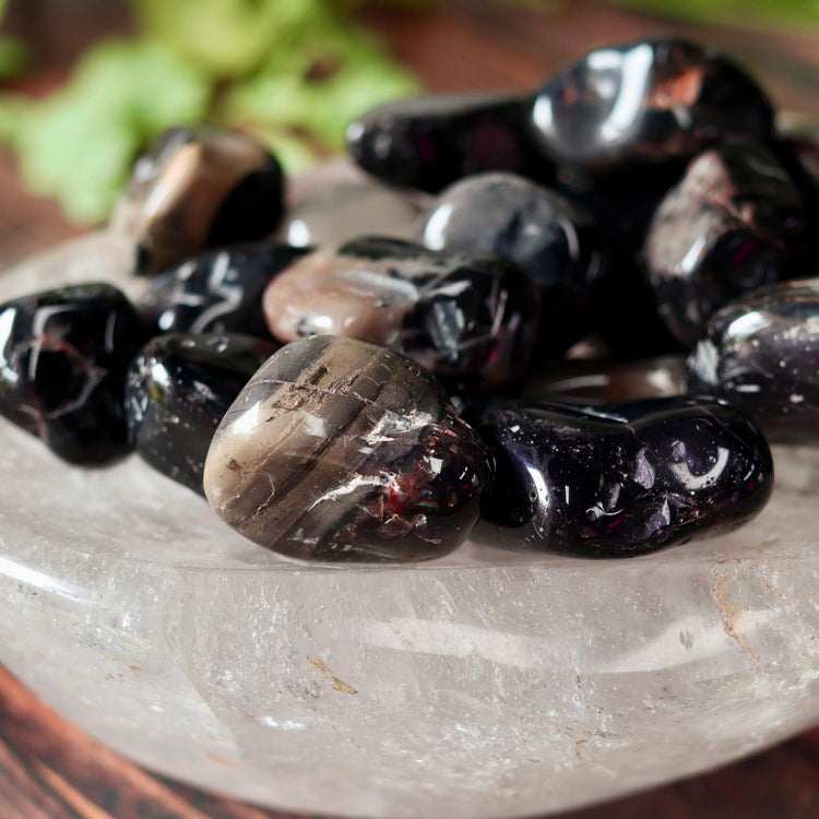 Black Onyx Tumbled Crystal Pocket Stone