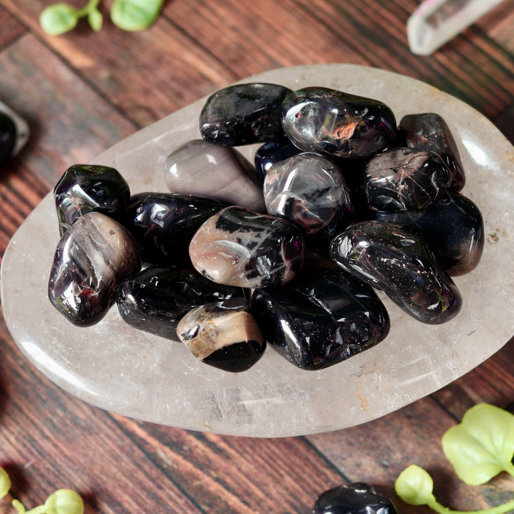 Black Onyx Tumbled Crystal Pocket Stone