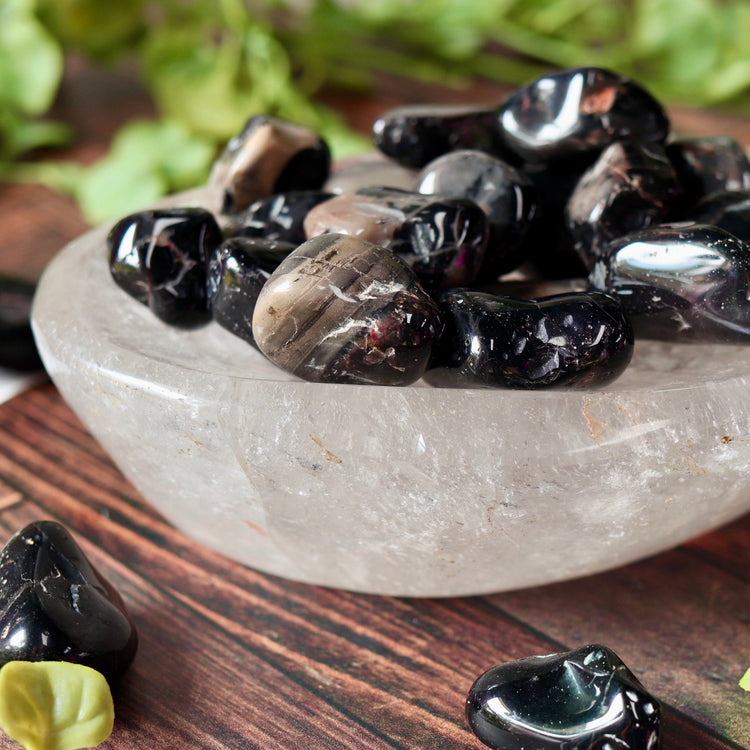Black Onyx Tumbled Crystal Pocket Stone