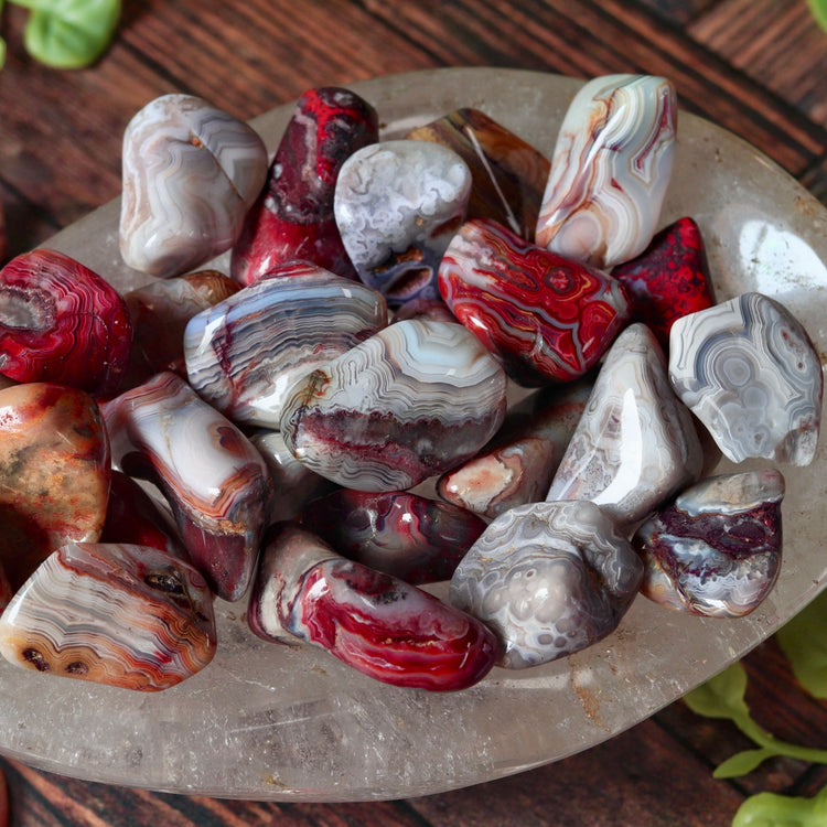 Crazy Lace Agate Tumbled Pocket Crystal