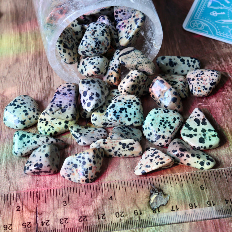 Dalmatian Jasper Tumble Pocket Crystal