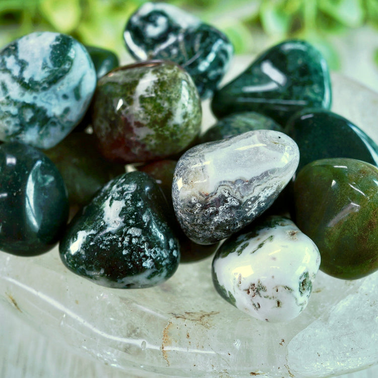 Green Moss Agate Tumbled Polished Pocket Crystal