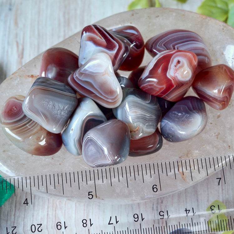 Botswana Gray Agate Tumbled Pocket Crystal