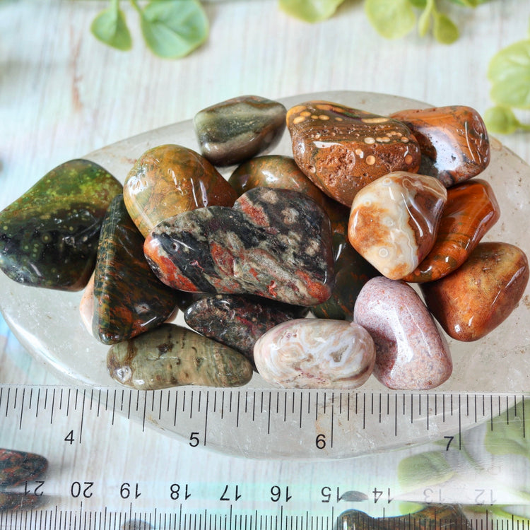 Ocean Jasper Tumble Pocket Crystal