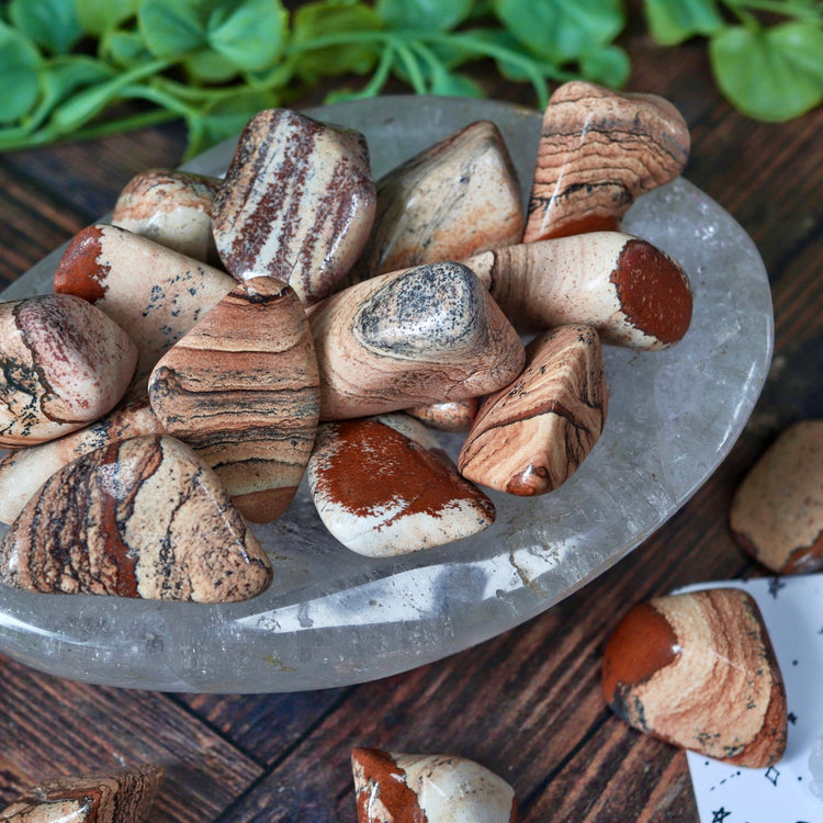Picture Jasper Polished Tumbled Pocket Stone Crystal
