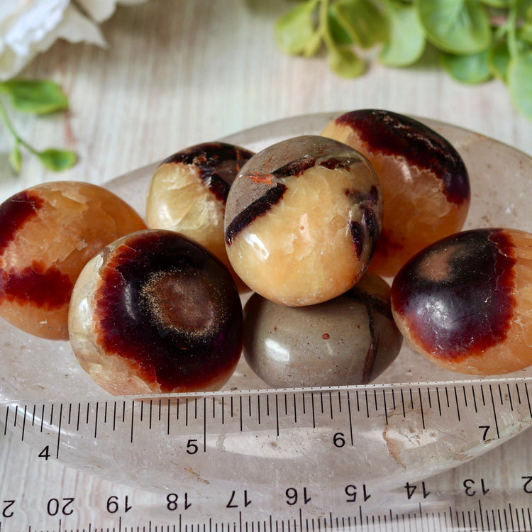Septarian Tumbled Crystal Pocket Stone