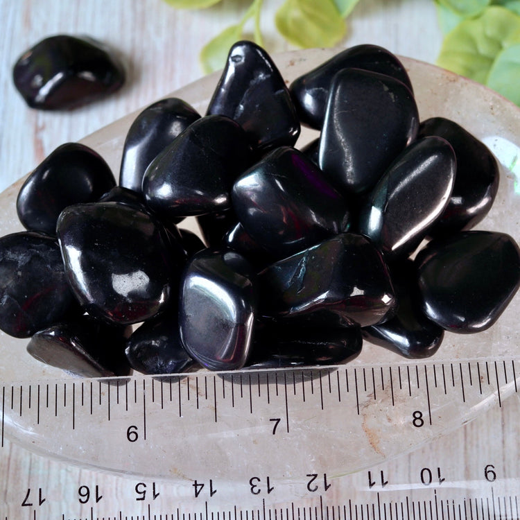 Shungite Tumbled Pocket Crystal