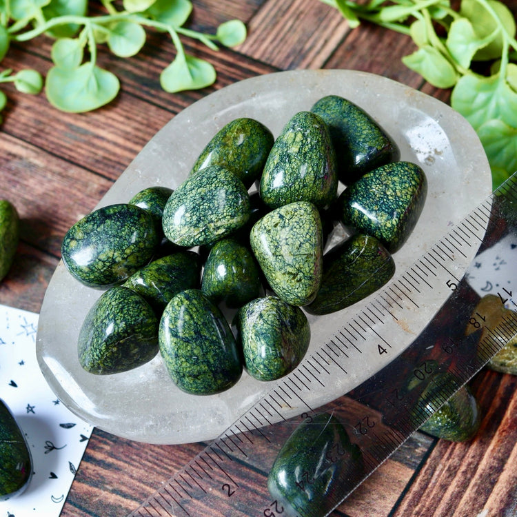 Snakeskin Jasper Tumbled Pocket Crystal