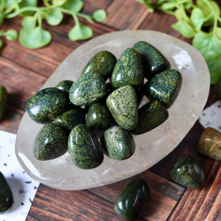 Snakeskin Jasper Tumbled Pocket Crystal