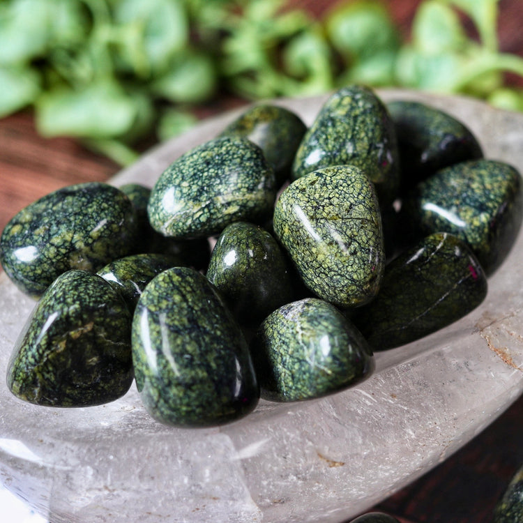 Snakeskin Jasper Tumbled Pocket Crystal