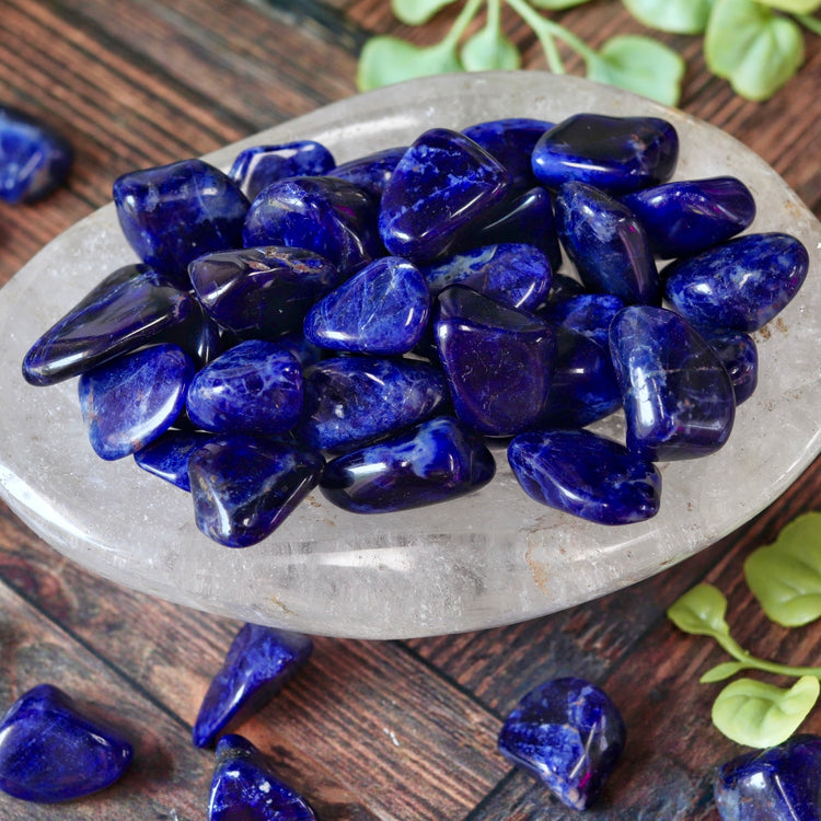 Sodalite Tumbled Pocket Crystal