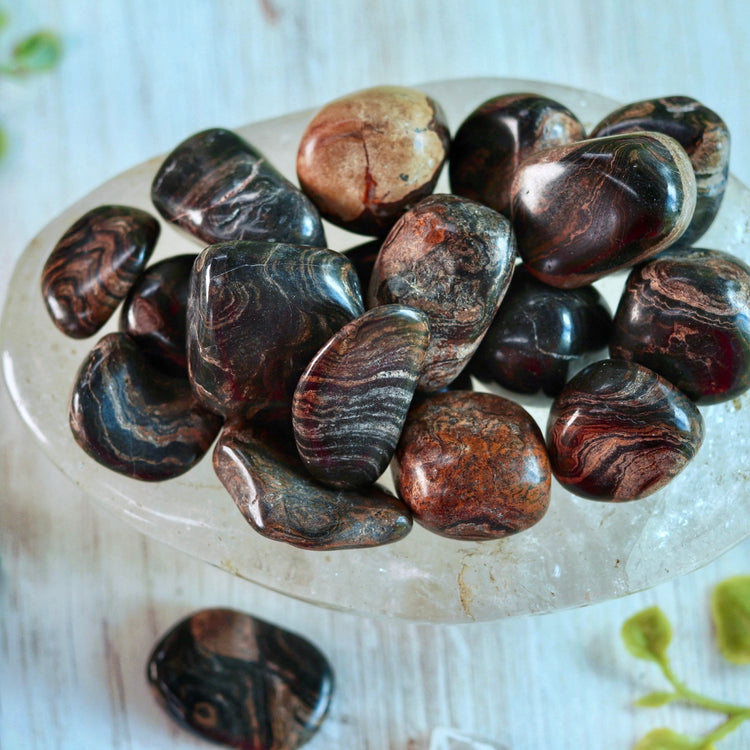 Stromatolite Tumbled Pocket Crystal