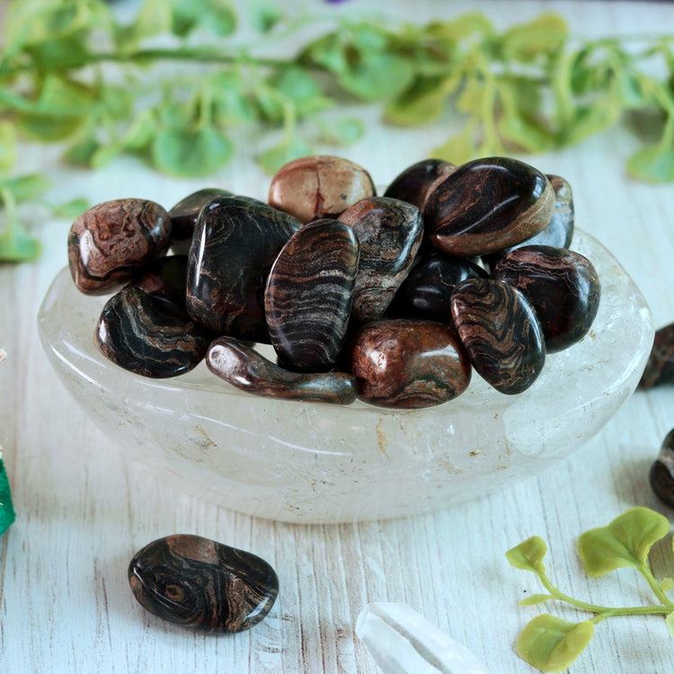 Stromatolite Tumbled Pocket Crystal