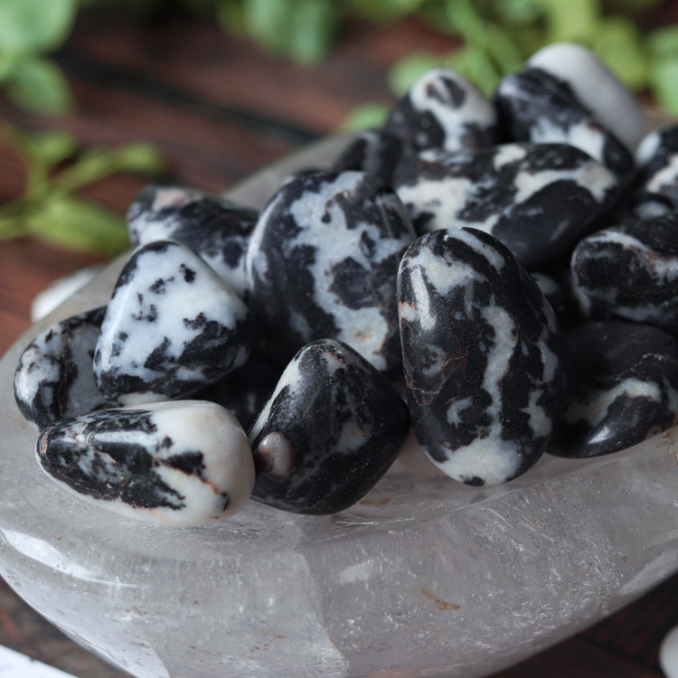 Zebra Jasper Polished Pocket Stone Crystal