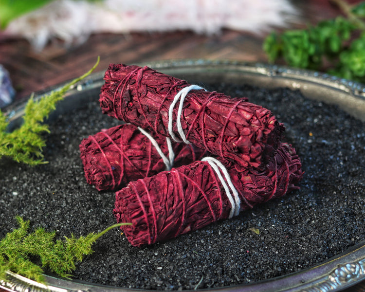 Sage Smudge Stick Bundle for Ceremony, Energy Cleansing, House Blessing & Empath Protection - Dragons Blood, Cinnamon, White Sage, Shasta Sage