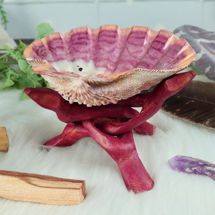 Abalone and Lion's Paw Sacred Smudging Shell with Wood Tripod Stand for Energy Cleansing Ceremonies