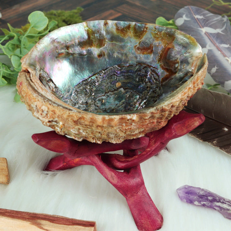 Abalone and Lion's Paw Sacred Smudging Shell with Wood Tripod Stand for Energy Cleansing Ceremonies