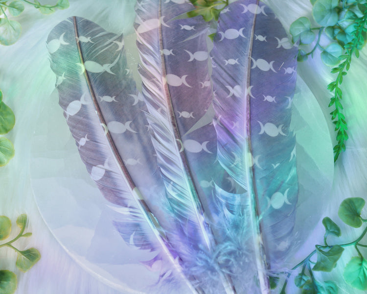 Smudging Feather for Sacred Smoke Energy Cleansing Rituals