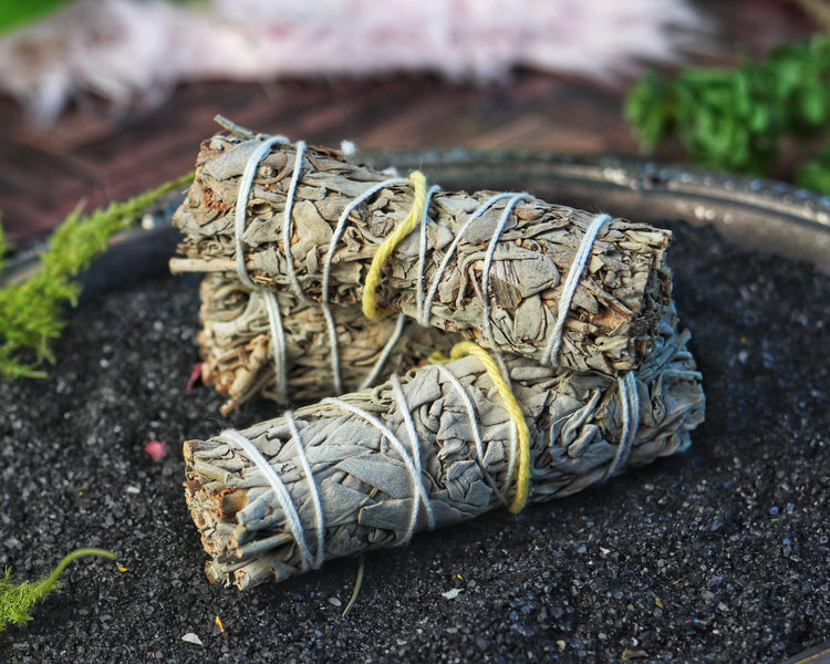 Sage Smudge Stick Bundle for Ceremony, Energy Cleansing, House Blessing & Empath Protection - Dragons Blood, Cinnamon, White Sage, Shasta Sage