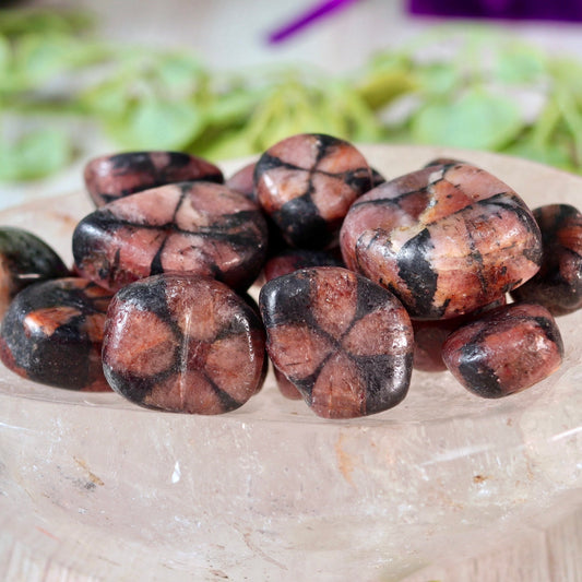 Chiastolite (Fairy Cross) Tumble Pocket Crystal
