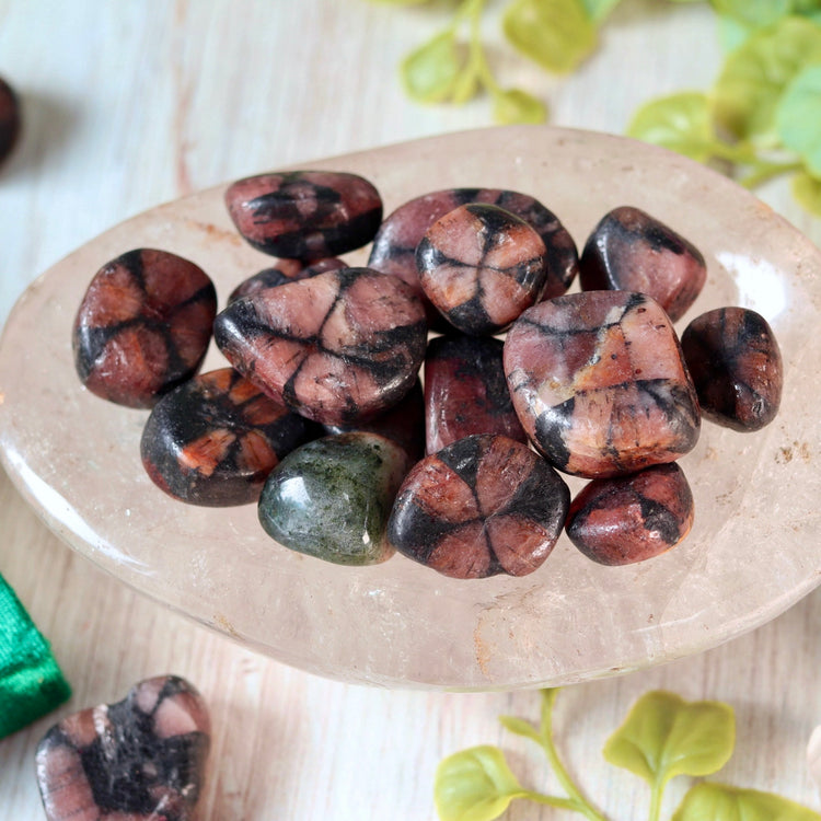 Chiastolite (Fairy Cross) Tumble Pocket Crystal