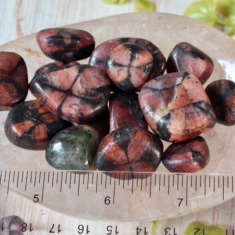 Chiastolite (Fairy Cross) Tumble Pocket Crystal