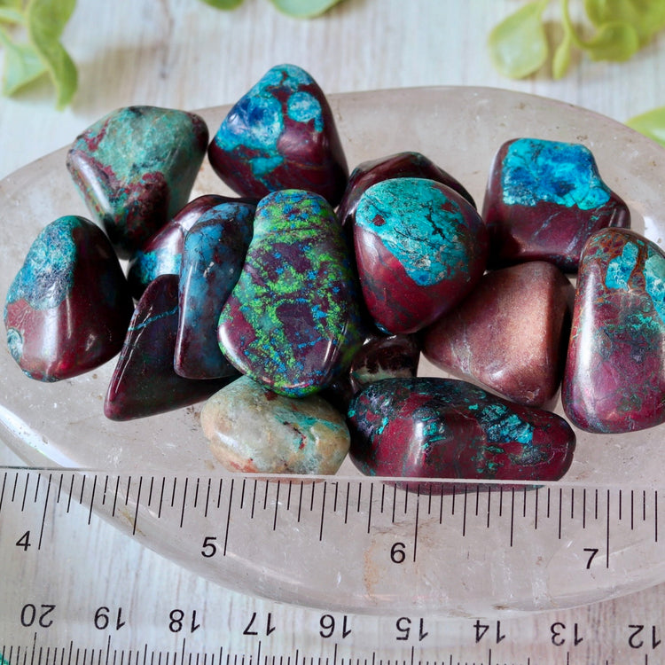 Chrysocolla Tumbled Pocket Crystal
