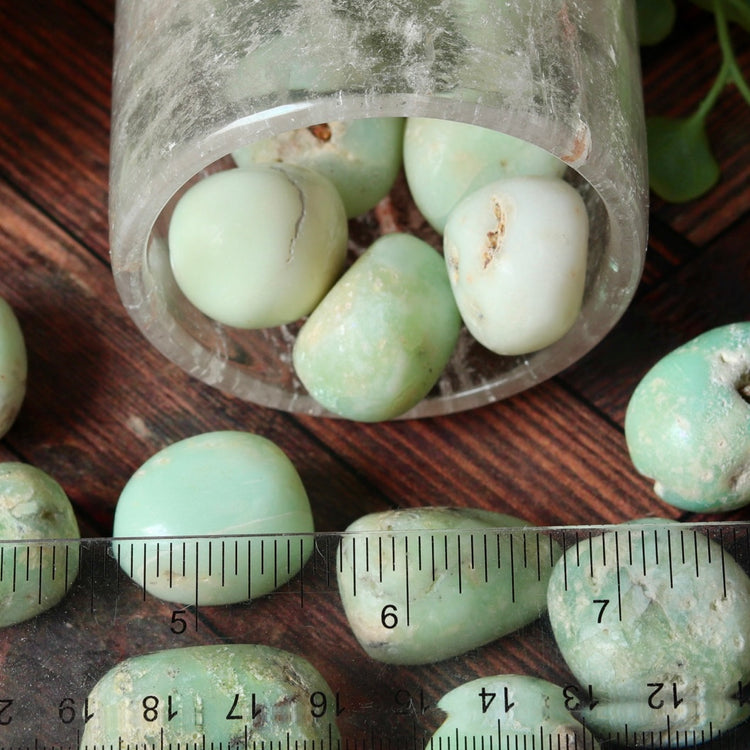 Chrysoprase Tumbled Pocket Crystal