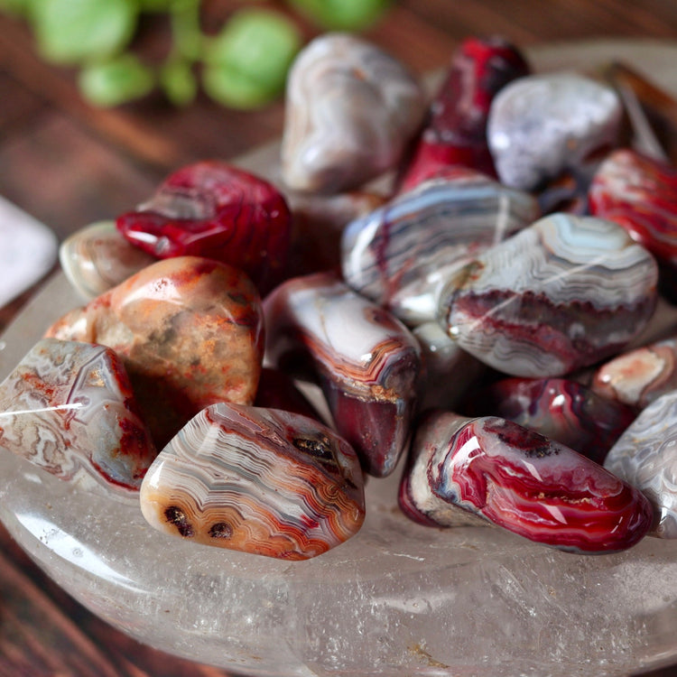 Crazy Lace Agate Tumbled Pocket Crystal