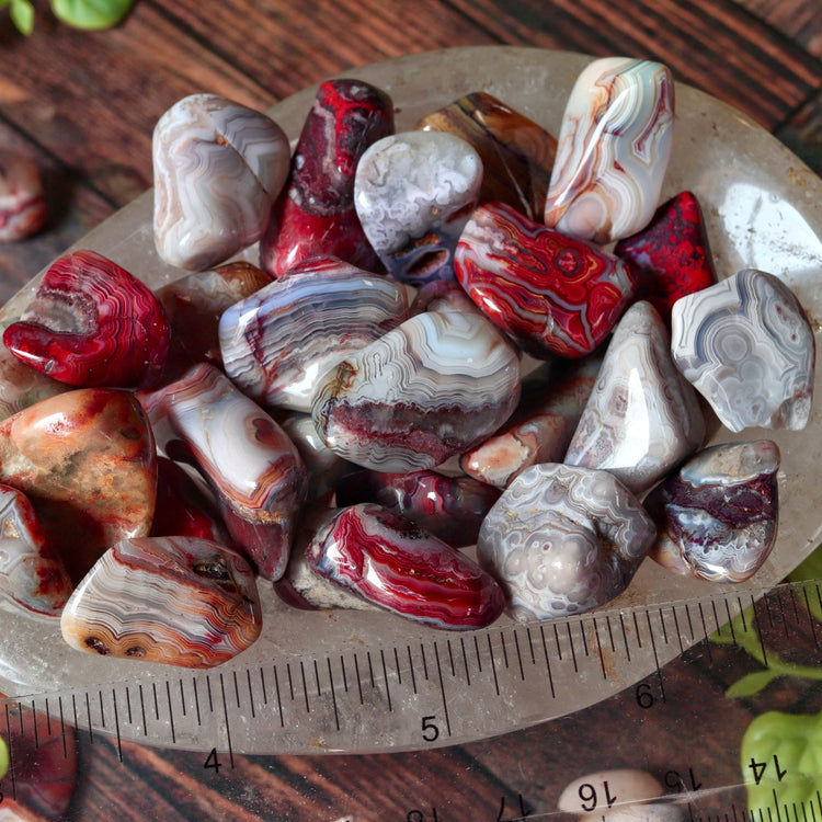 Crazy Lace Agate Tumbled Pocket Crystal