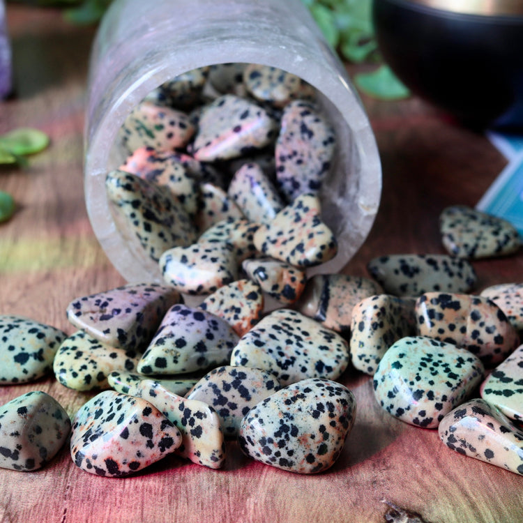 Dalmatian Jasper Tumble Pocket Crystal