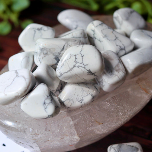 Howlite Tumbled Pocket Crystal