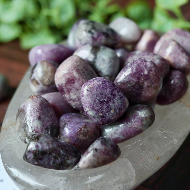 Lepidolite Tumbled Pocket Crystal