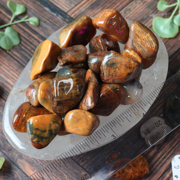 Lionskin Tumbled Pocket Crystal