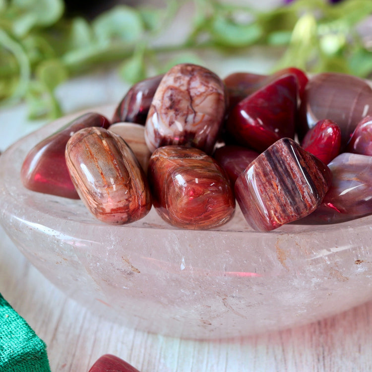 Petrified Wood Tumble Pocket Crystal
