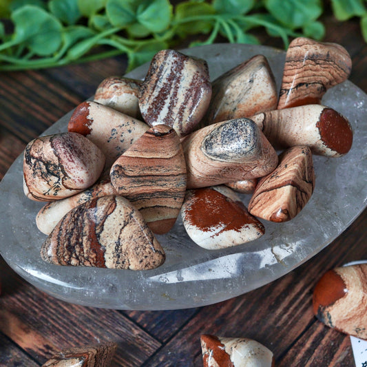 Picture Jasper Polished Tumbled Pocket Stone Crystal
