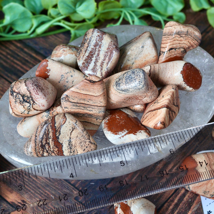 Picture Jasper Polished Tumbled Pocket Stone Crystal