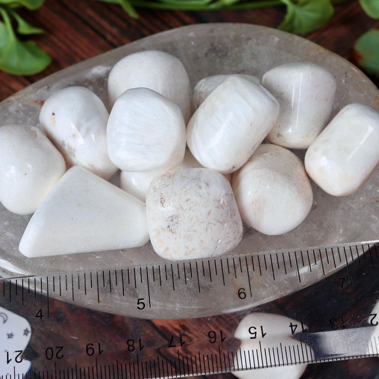 Scolecite Tumbled Pocket Crystal