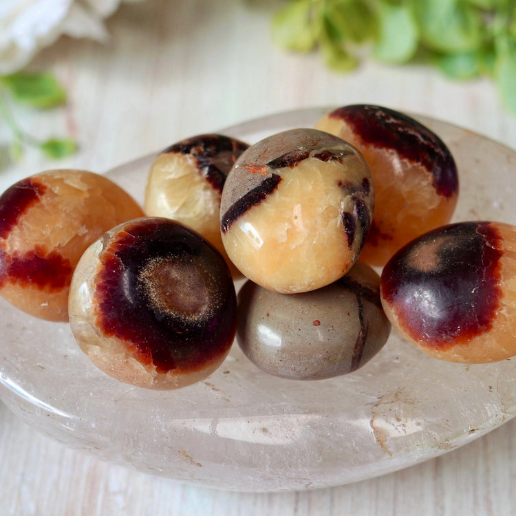 Septarian Tumbled Crystal Pocket Stone