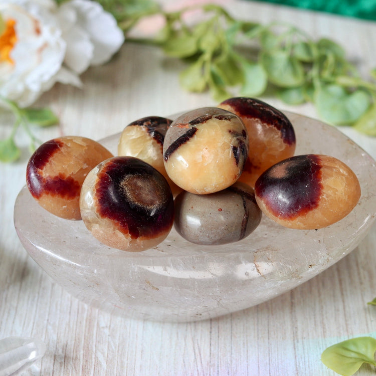 Septarian Tumbled Crystal Pocket Stone