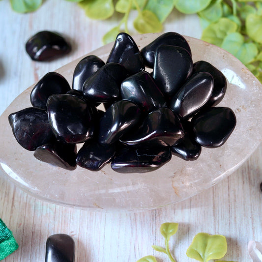 Shungite Tumbled Pocket Crystal