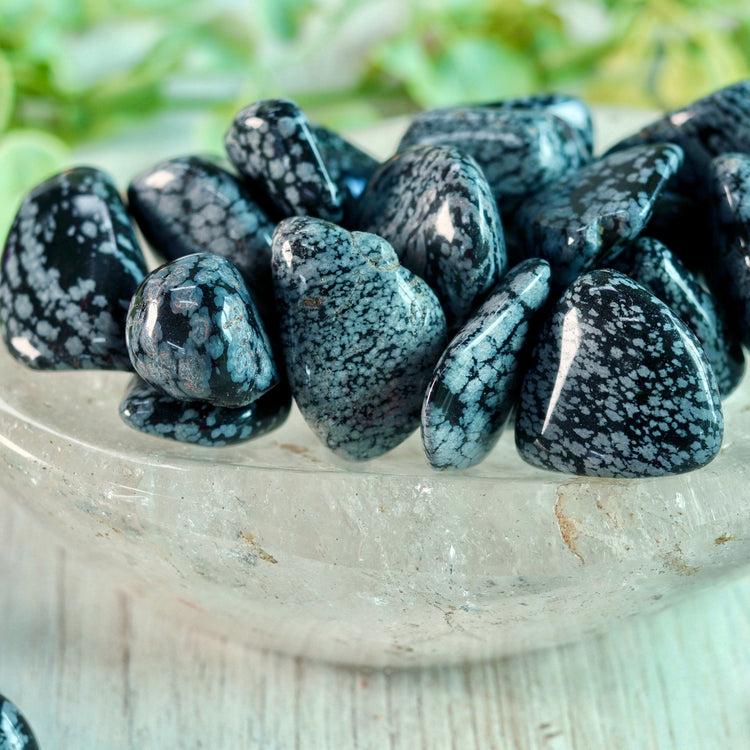 Snowflake Obsidian Pocket Tumble Crystal