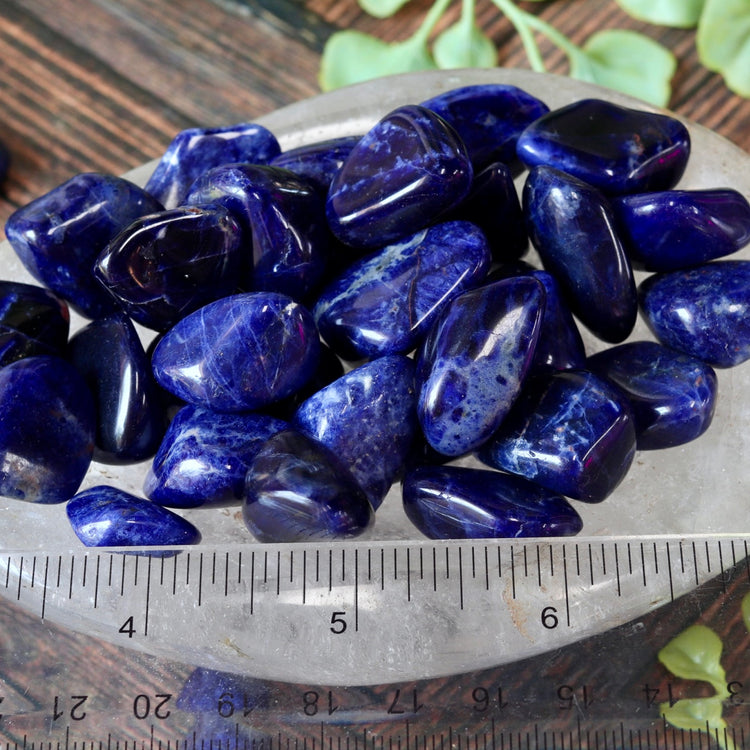 Sodalite Tumbled Pocket Crystal
