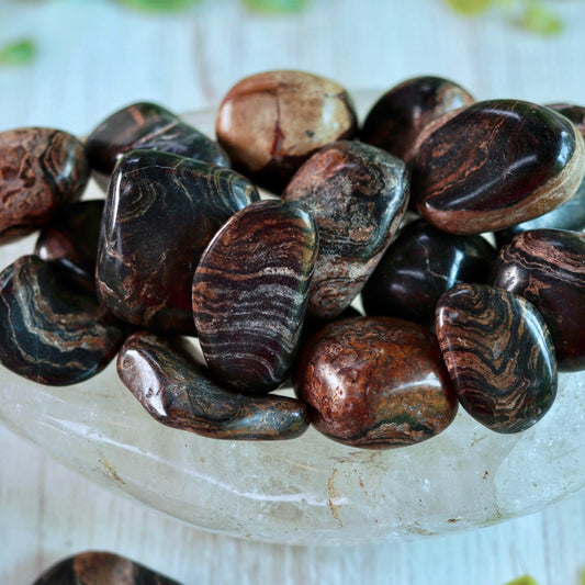 Stromatolite Tumbled Pocket Crystal